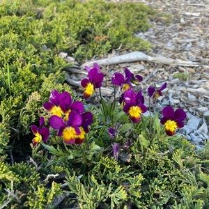 Meet your Posher, Jen